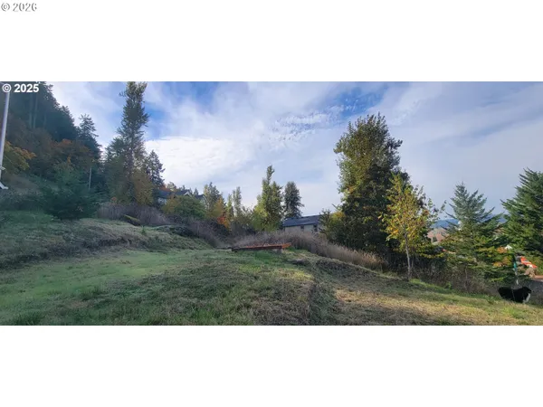 a view of a back yard