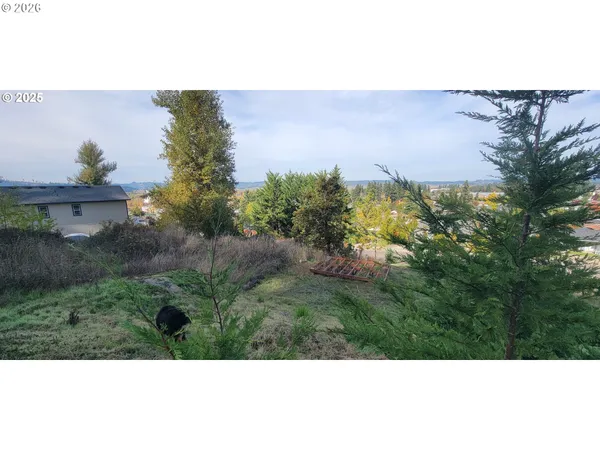 a view of a bunch of trees