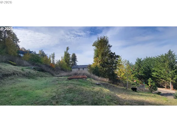 a view of a backyard with green space