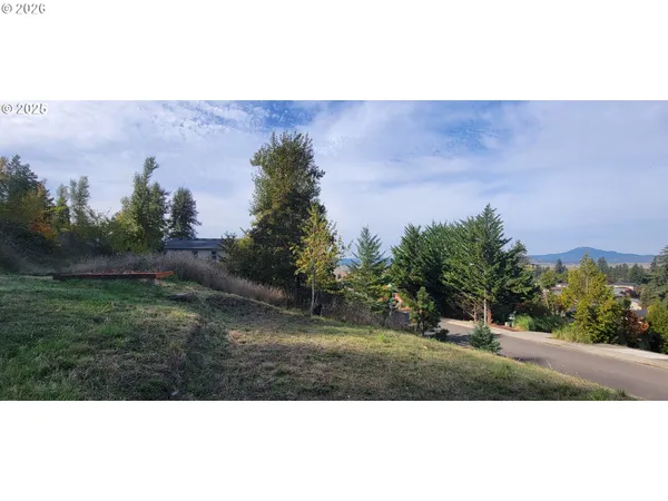 a view of a yard in front of a house