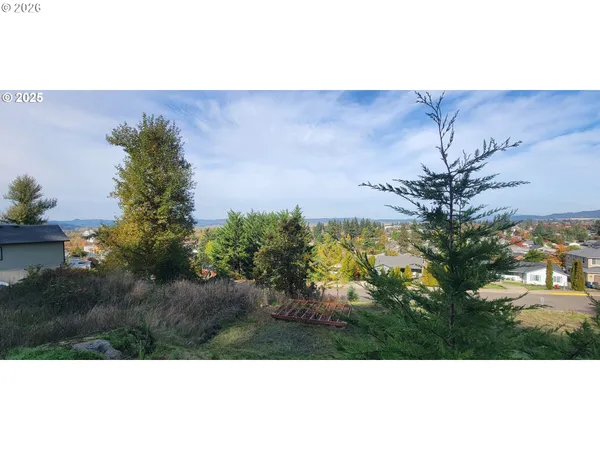 a view of city and mountain