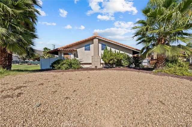 a view of a yard with palm trees