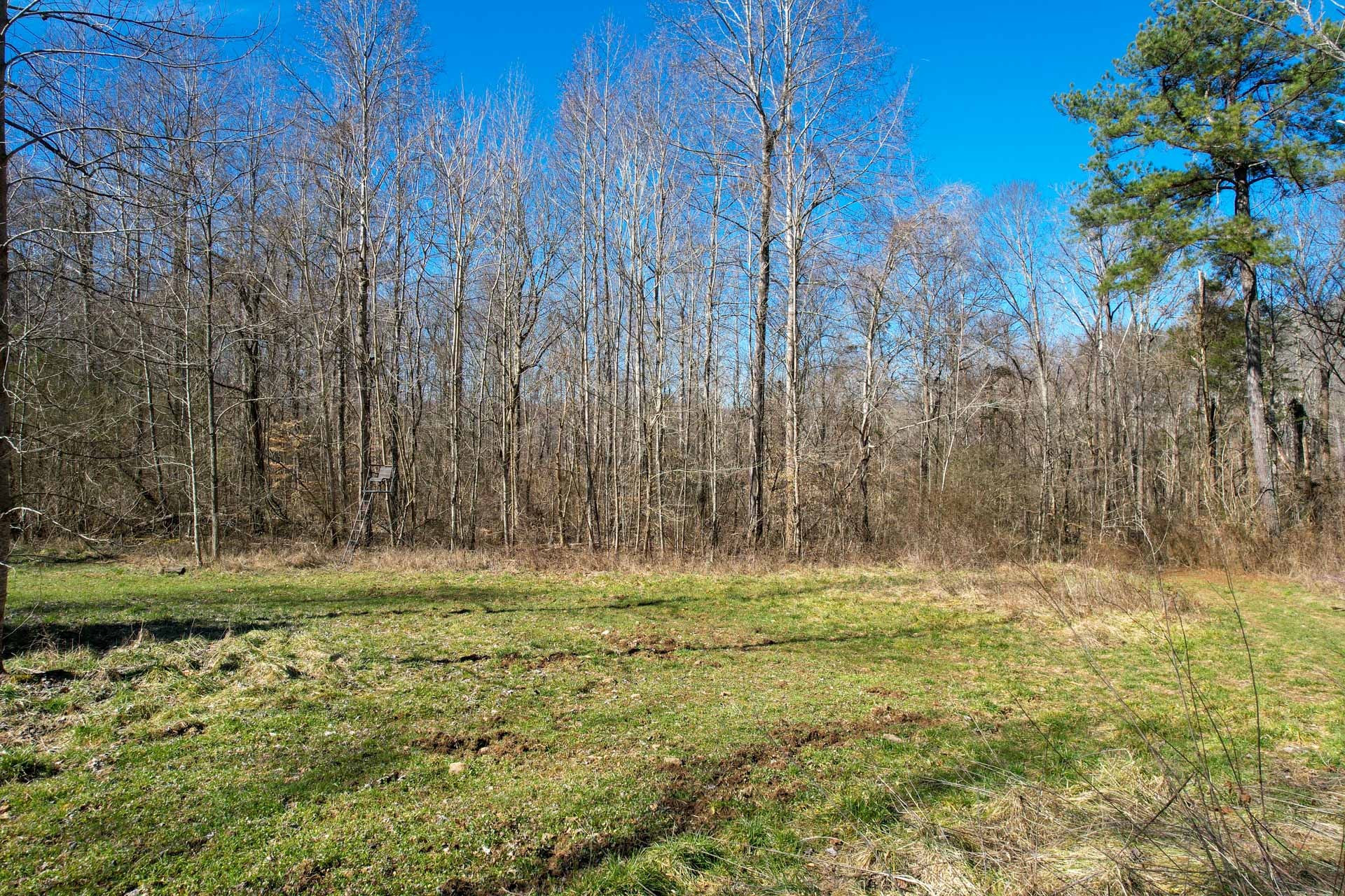 0 Lester Flatt Road Sparta, TN 38583 - Photo 11 of 14 Gallery Image 11