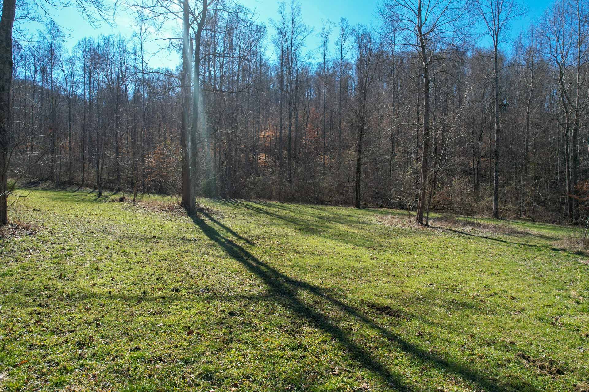 0 Lester Flatt Road Sparta, TN 38583 - Photo 13 of 14 Gallery Image 13