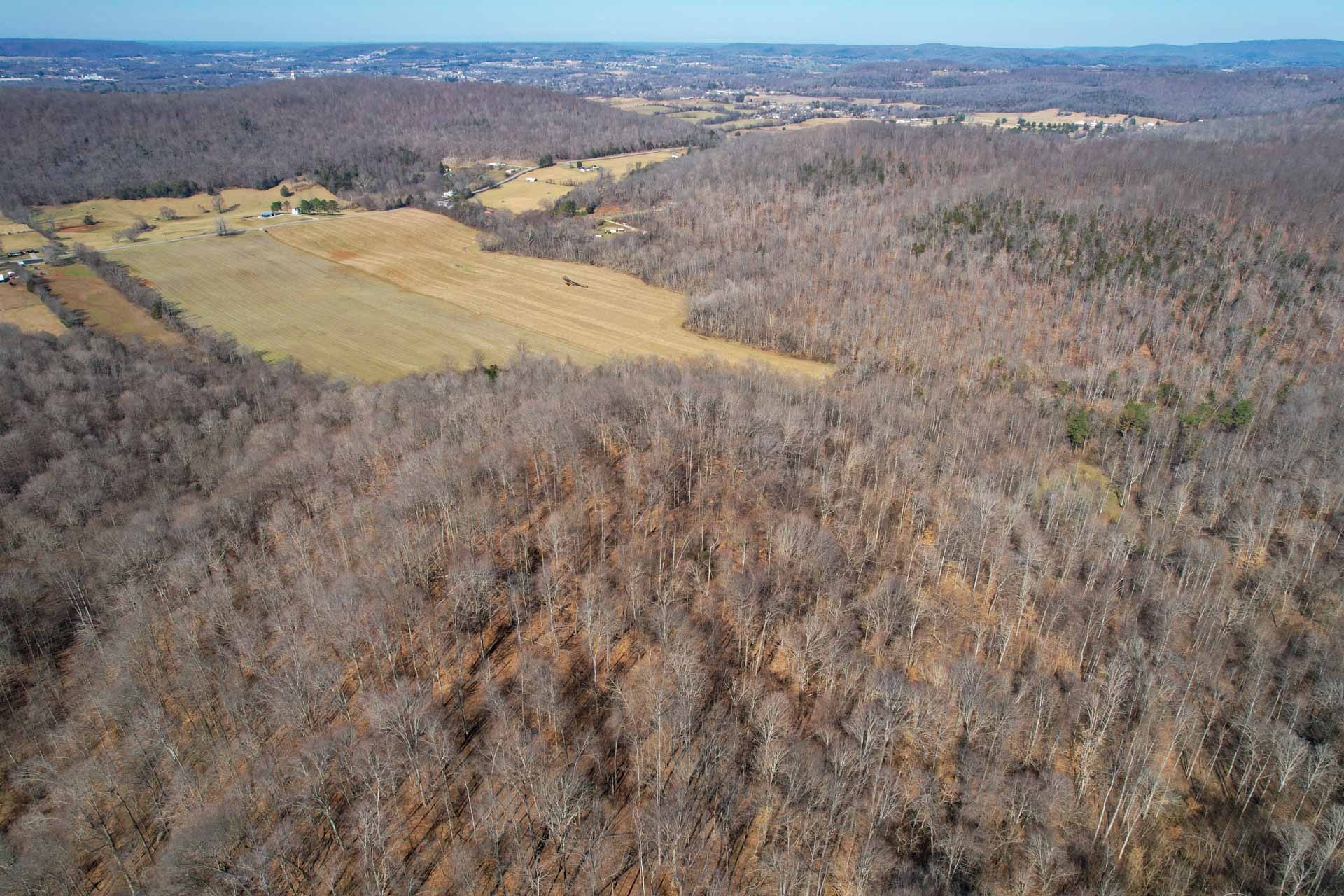 0 Lester Flatt Road Sparta, TN 38583 - Photo 4 of 14 Gallery Image 4
