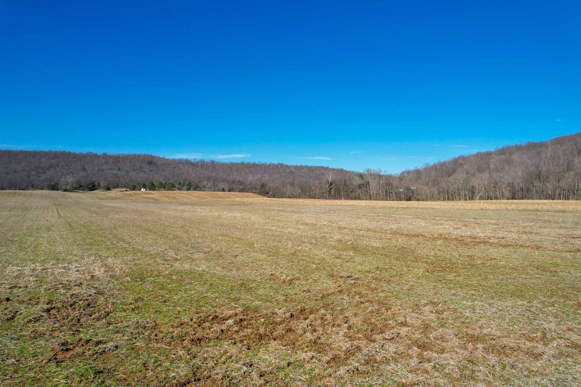 0 Lester Flatt Road Sparta, TN 38583 - Photo 9 of 14 Gallery Image 9