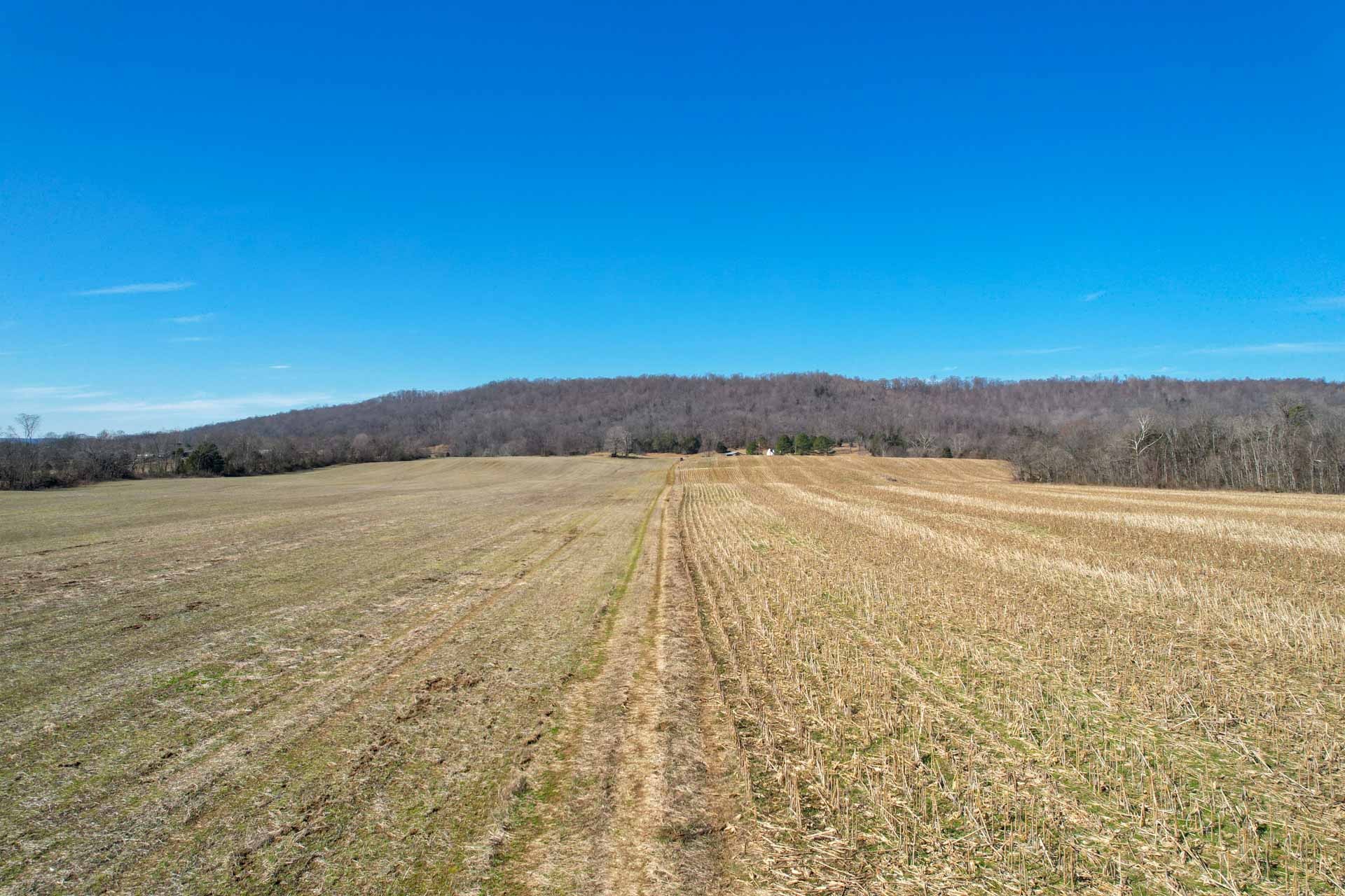 0 Lester Flatt Road Sparta, TN 38583 - Photo 10 of 14 Gallery Image 10
