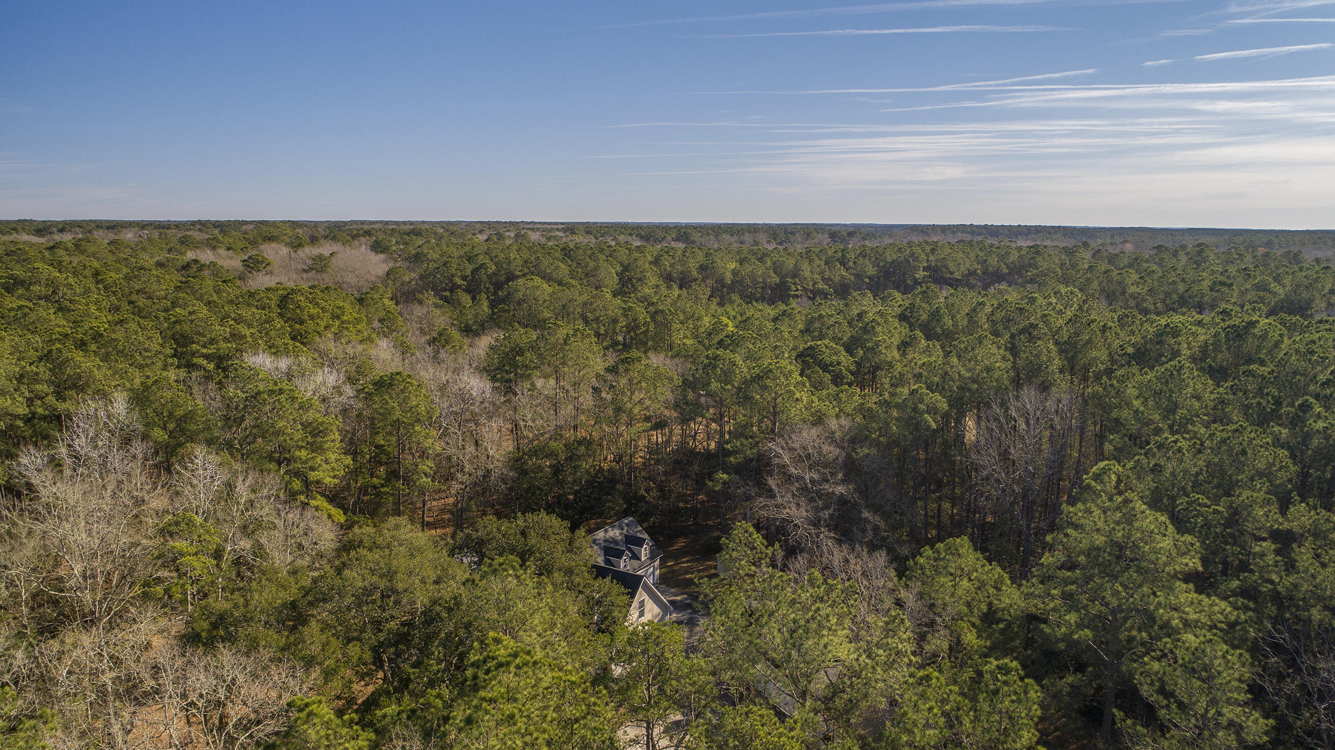 8003 Little Britton Road Hollywood, SC 29449 - Photo 58 of 63 Zyndicate1357