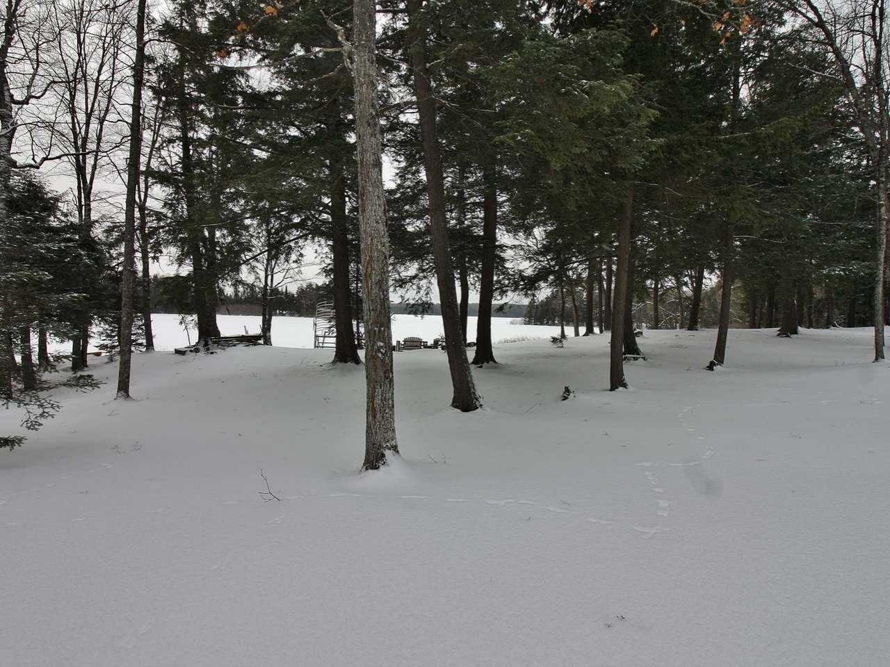 6531 North Forest Lake Road Land O'Lakes, WI 54540 - Photo 33 of 41 Gallery Image 33