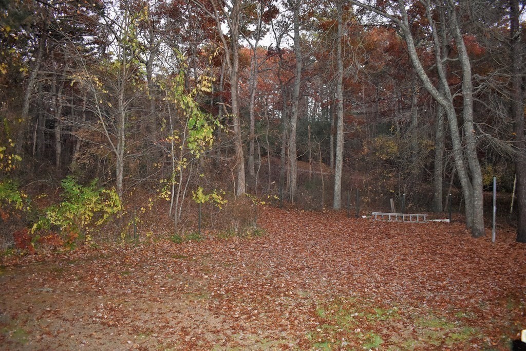 1702 State Road Plymouth, MA 02360 - Photo 17 of 17 a view of a yard with trees