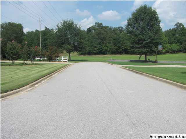 100 Cahaba Oaks Trail Pelham, AL 35124 - Photo 2 of 24