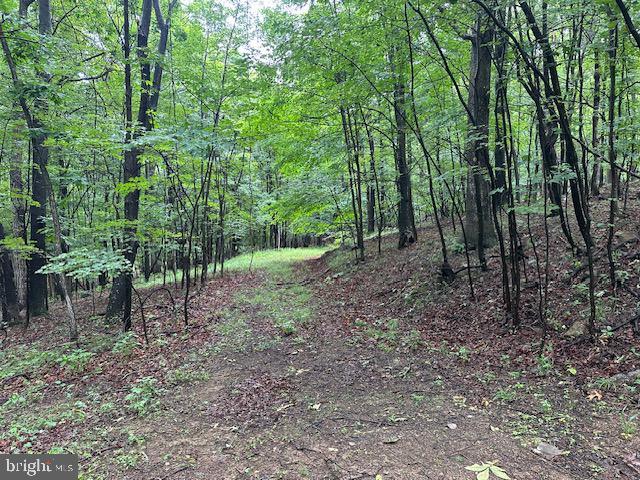 Lot 61 High Mountain View Road Romney, WV 26757 - Photo 4 of 9