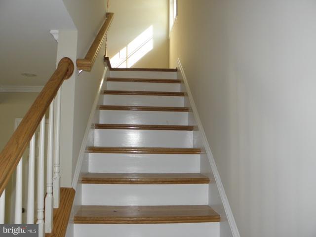 304 East Glebe Road Alexandria, VA 22305 - Photo 13 of 21 Interior (General)