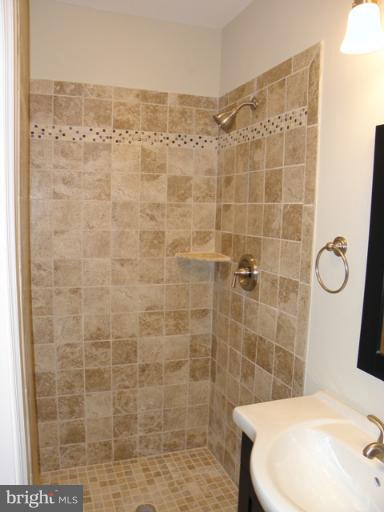 304 East Glebe Road Alexandria, VA 22305 - Photo 14 of 21 Bath (Master)