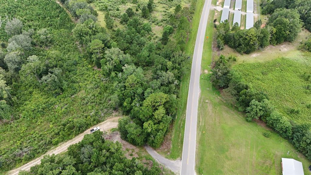 Pate Pond Road Caryville, FL 32427 - Photo 10 of 12
