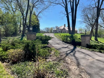 a view of a garden with trees