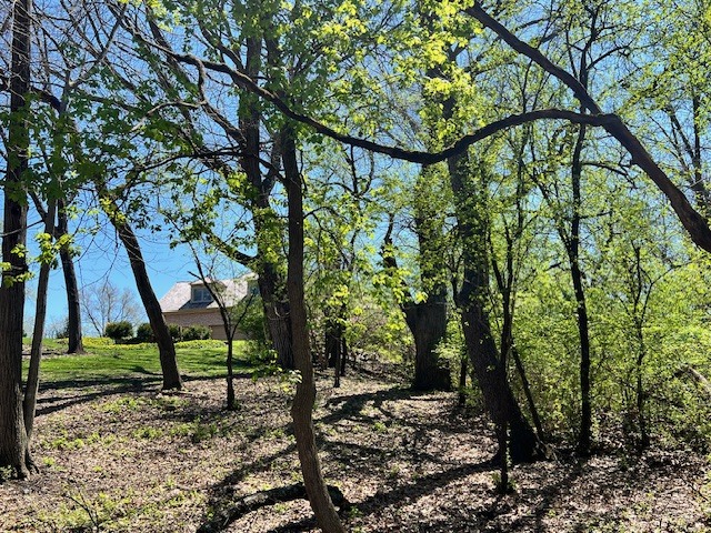 3 Far Hills Road Barrington Hills, IL 60010 - Photo 2 of 4