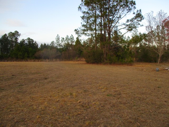 6434 Crews Community Road Folkston, GA 31537 - Photo 12 of 16