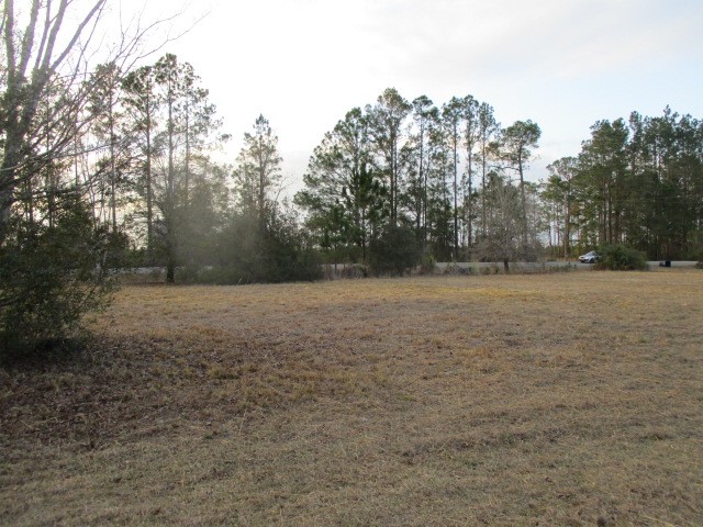 6434 Crews Community Road Folkston, GA 31537 - Photo 14 of 16