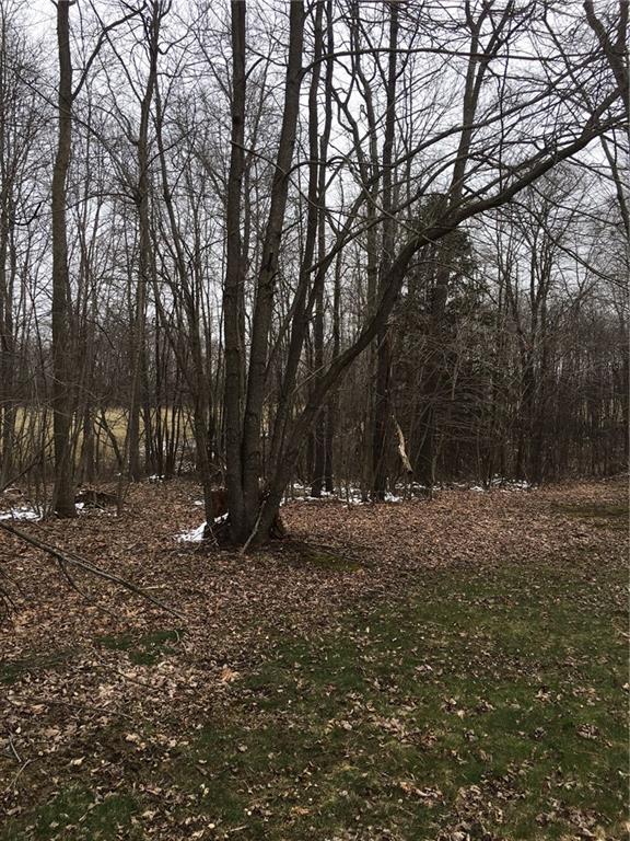2010 Oneida Valley Road Karns City, PA 16041 - Photo 8 of 22 Wooded part in back