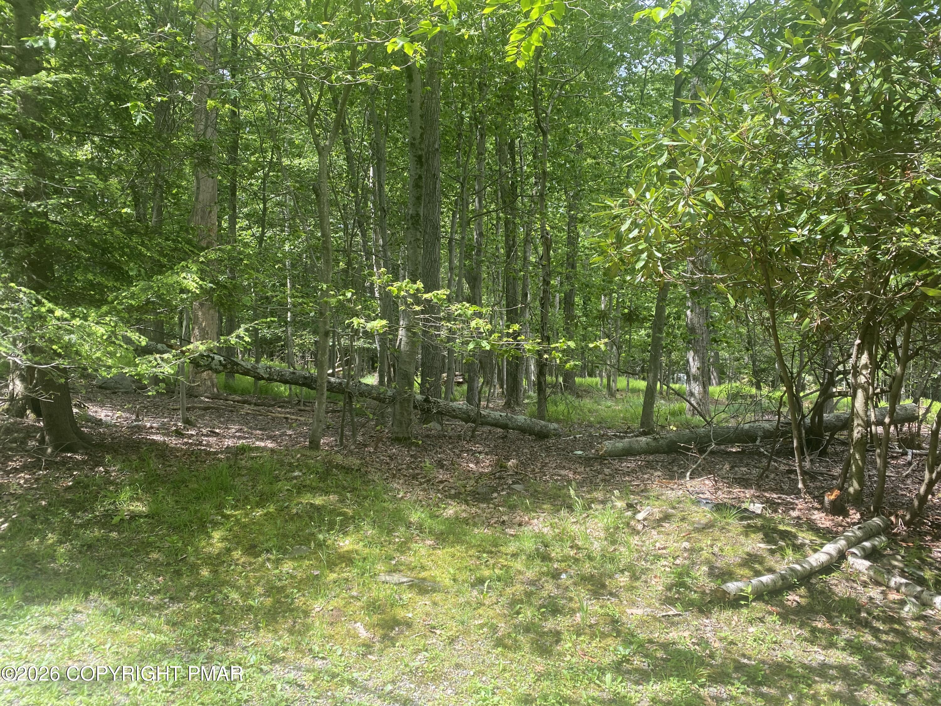 86 Lookout Point Road Canadensis, PA 18325 - Photo 2 of 2 a view of a yard with a tree