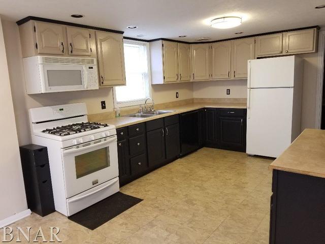 4585 Maple Street Lane, IL 61750 - Photo 4 of 12
