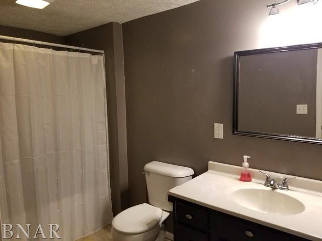 4585 Maple Street Lane, IL 61750 - Photo 5 of 12