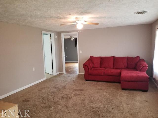 4585 Maple Street Lane, IL 61750 - Photo 6 of 12