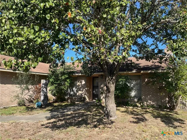 a view of a house with a tree