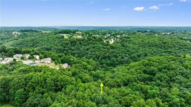a view of a green field with lots of bushes