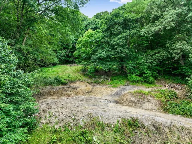 a view of a field with plants and trees