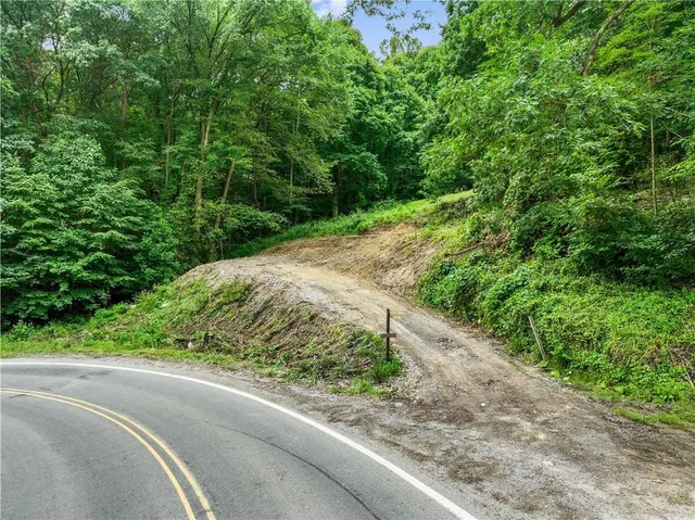 a view of a garden with plants