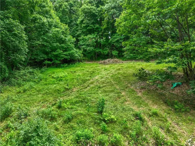 a view of outdoor space and yard