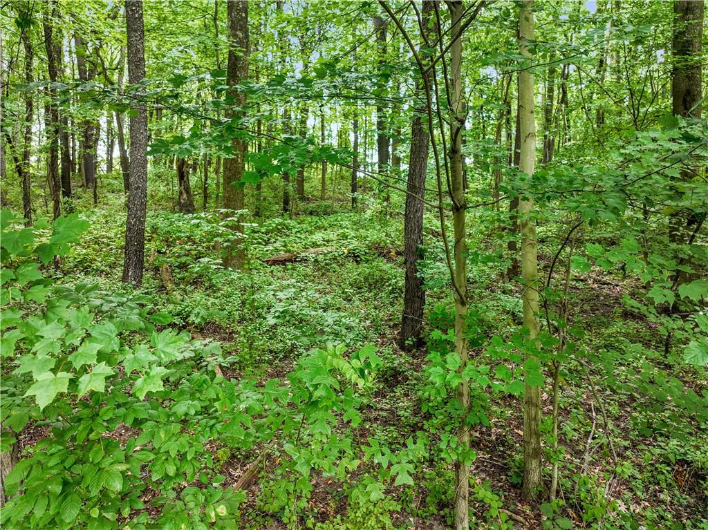 420 Braun Road Beaver Falls, PA 15010 - Photo 5 of 18 a backyard of a house with lots of green space