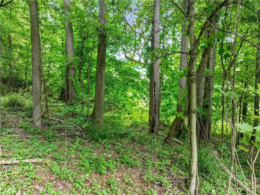 420 Braun Road Beaver Falls, PA 15010 - Photo 7 of 18 a view of outdoor space and green space