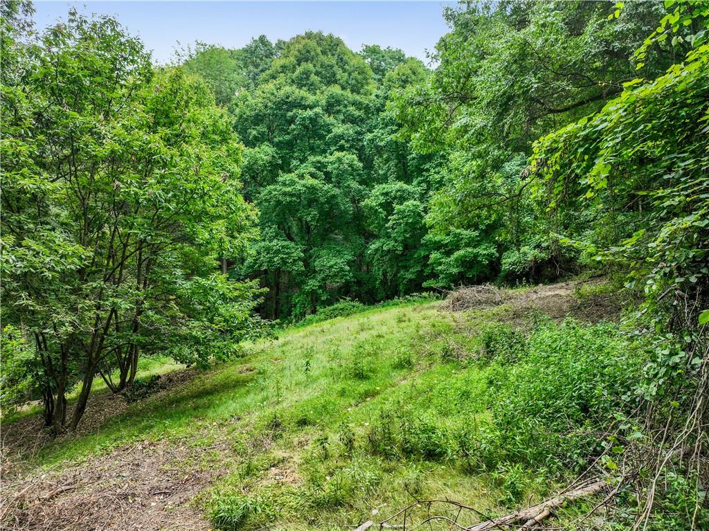420 Braun Road Beaver Falls, PA 15010 - Photo 8 of 18 a view of a lush green forest