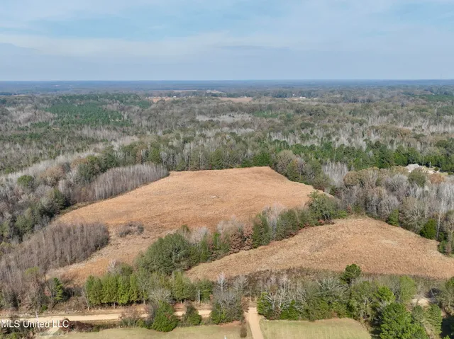 $212,500 | 0 Pisgah Bottom Road, Canton, MS 39046