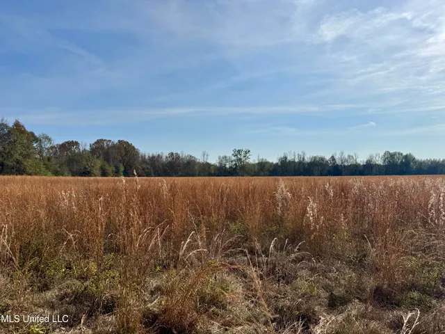 $212,500 | 0 Pisgah Bottom Road, Canton, MS 39046