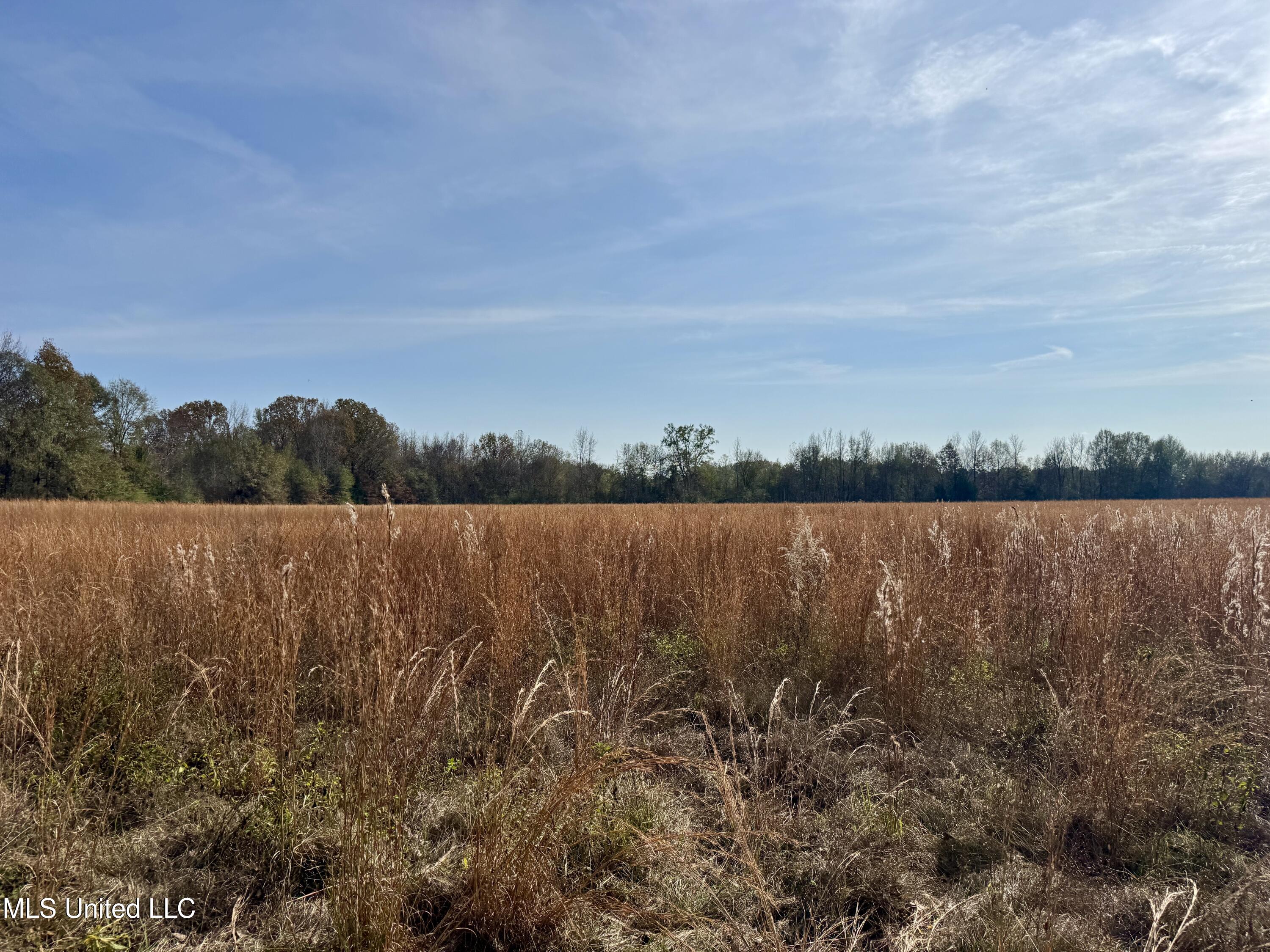0 Pisgah Bottom Road Canton, MS 39046 - Photo 11 of 21 8B5DAC24-E51B-45CF-B9E9-B3F132B48971_1_2