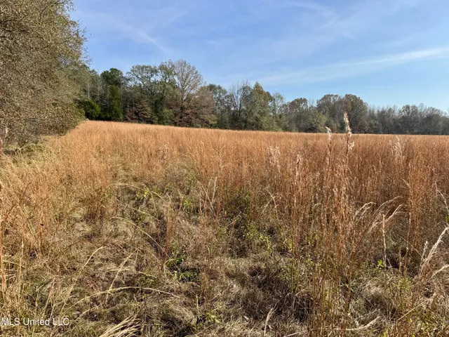 $212,500 | 0 Pisgah Bottom Road, Canton, MS 39046