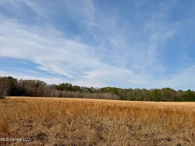 $212,500 | 0 Pisgah Bottom Road, Canton, MS 39046