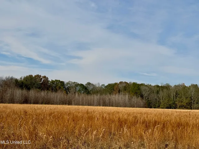 $212,500 | 0 Pisgah Bottom Road, Canton, MS 39046