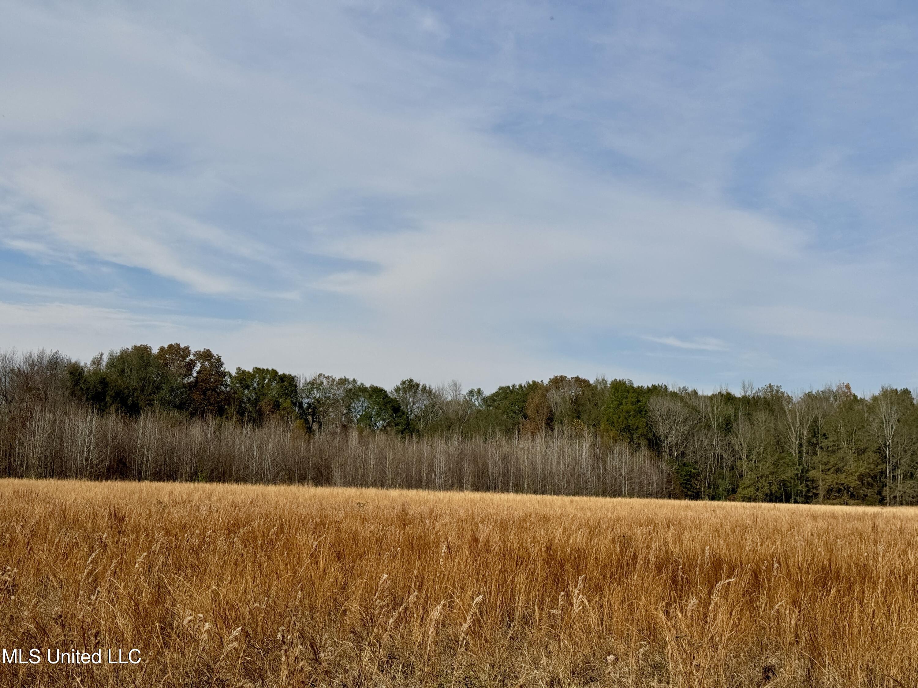 0 Pisgah Bottom Road Canton, MS 39046 - Photo 15 of 21 6CFAD778-2053-46AD-A776-5C69834AD17F_1_2