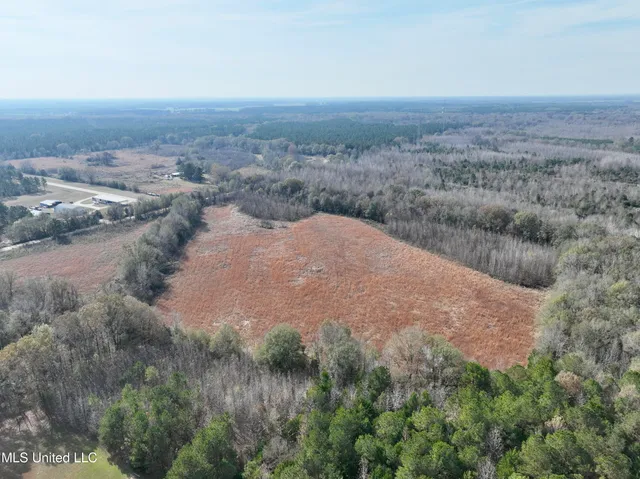 $212,500 | 0 Pisgah Bottom Road, Canton, MS 39046