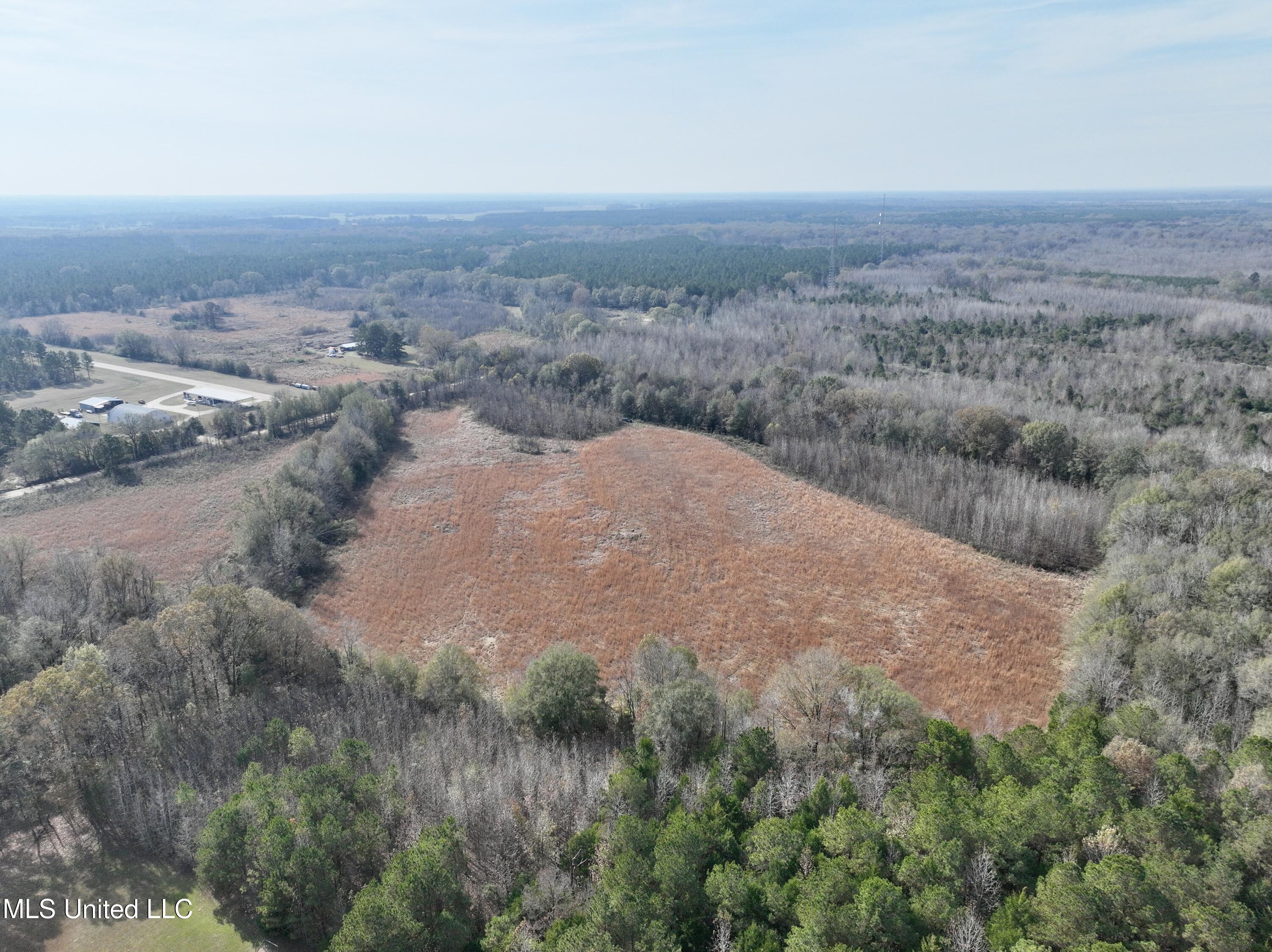 0 Pisgah Bottom Road Canton, MS 39046 - Photo 16 of 21 F8725AE1-1BFD-48A1-B0F0-58F35A64C68A_1_2