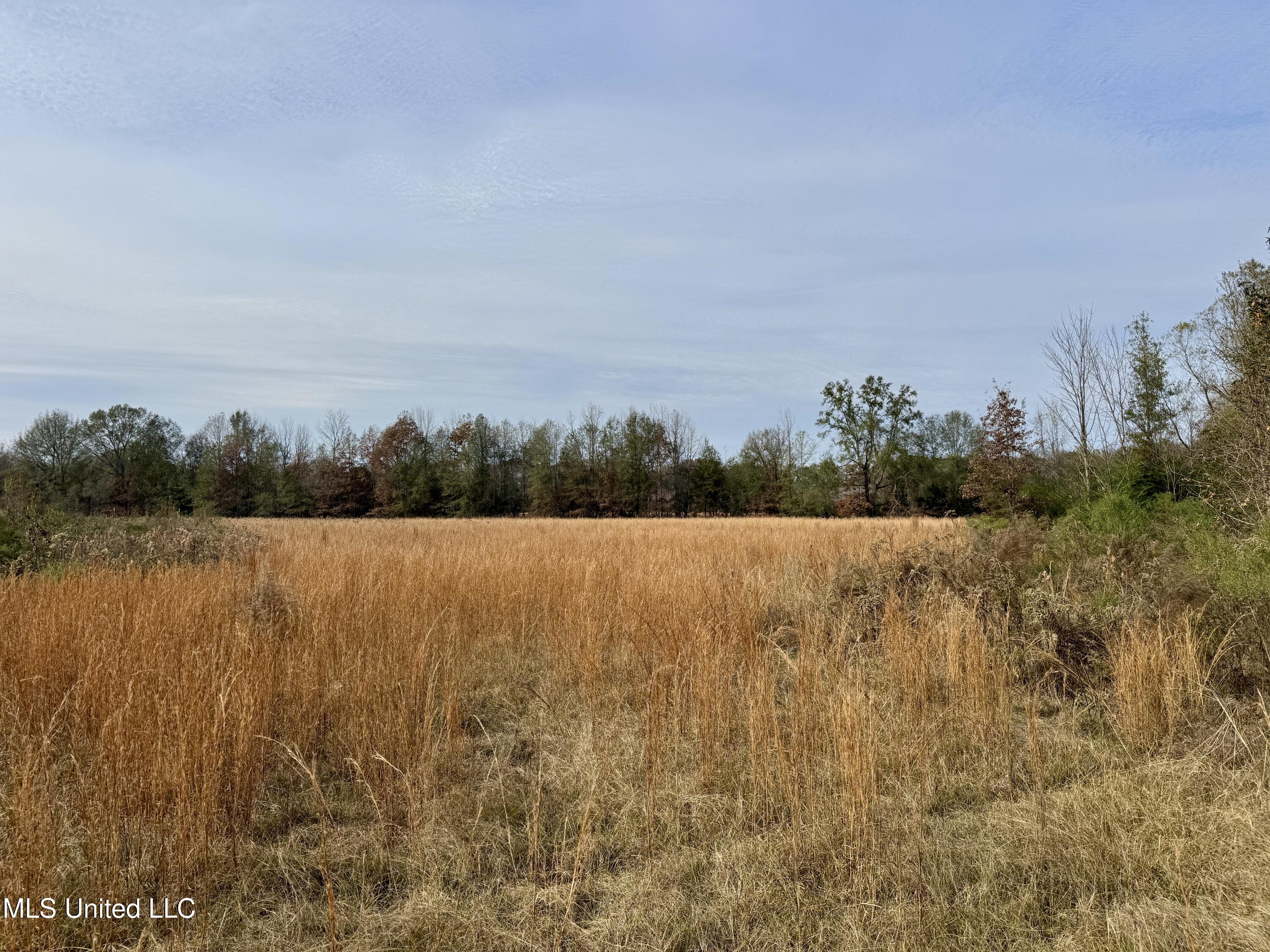 0 Pisgah Bottom Road Canton, MS 39046 - Photo 17 of 21 1C795B14-A371-4187-94FE-21118C6C047D_1_2