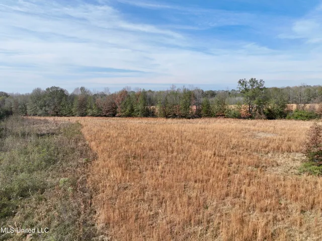 $212,500 | 0 Pisgah Bottom Road, Canton, MS 39046