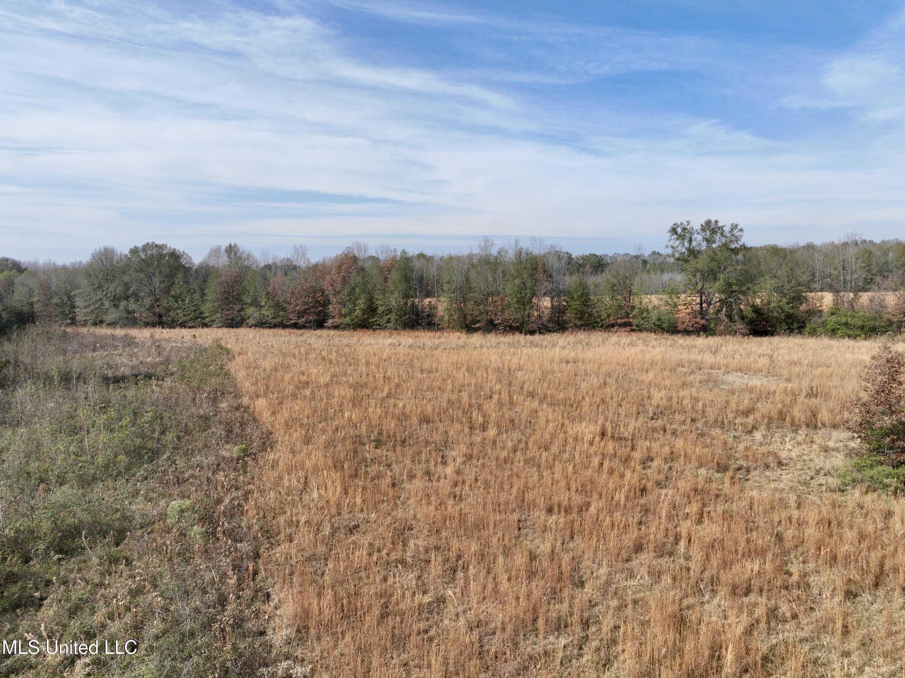 0 Pisgah Bottom Road Canton, MS 39046 - Photo 18 of 21 833C2BFB-CE05-4E6E-9053-7CA49379758E_1_2