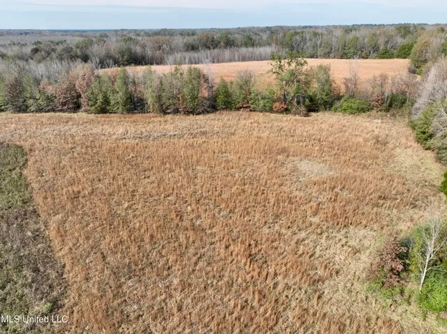 $212,500 | 0 Pisgah Bottom Road, Canton, MS 39046