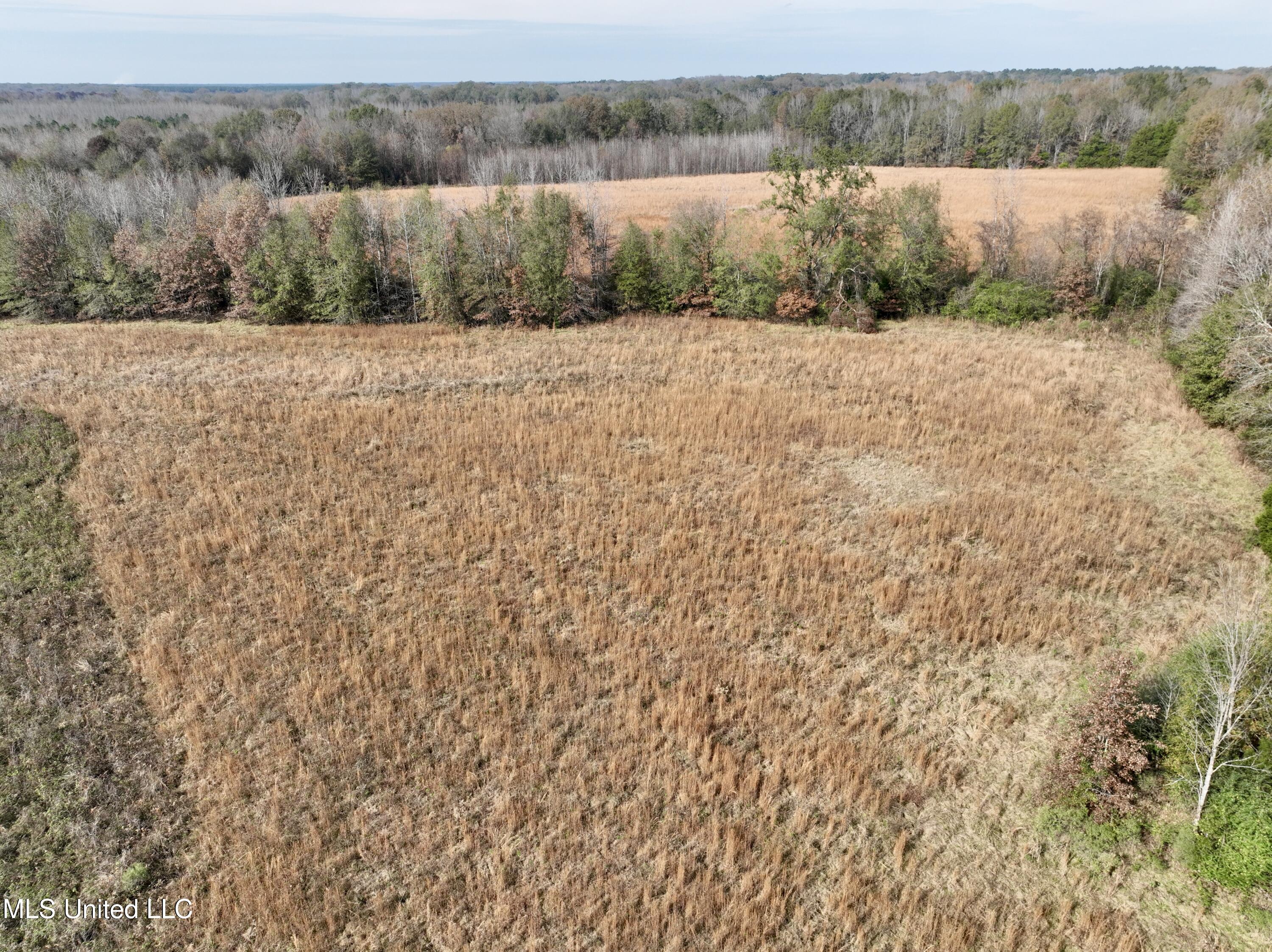 0 Pisgah Bottom Road Canton, MS 39046 - Photo 19 of 21 0C05EB6F-1C71-4197-AFB1-E4A577A52F8A_1_2
